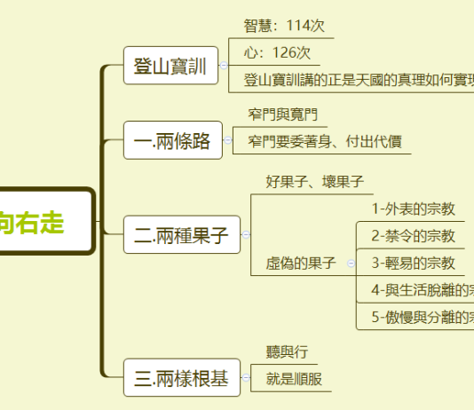 向左走向右走 2023.11.19_向左走向右走