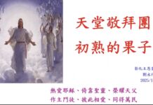 天堂敬拜團-初熟的果子 天堂敬拜團-初熟的果子