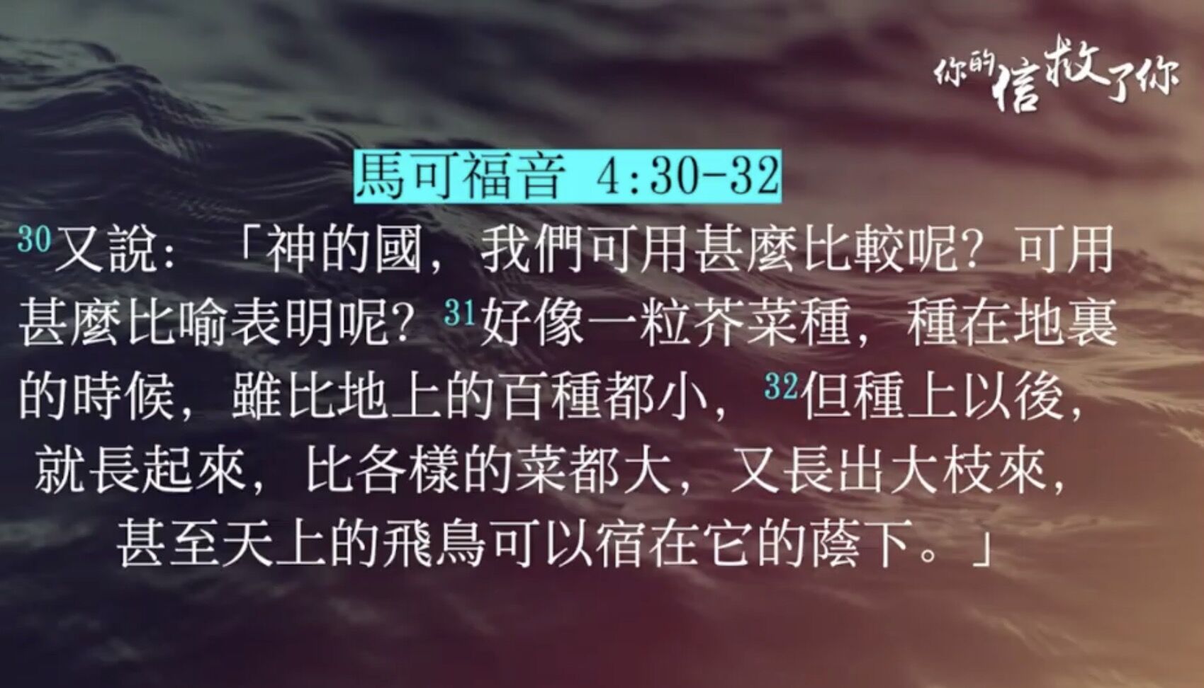 你的信救了你