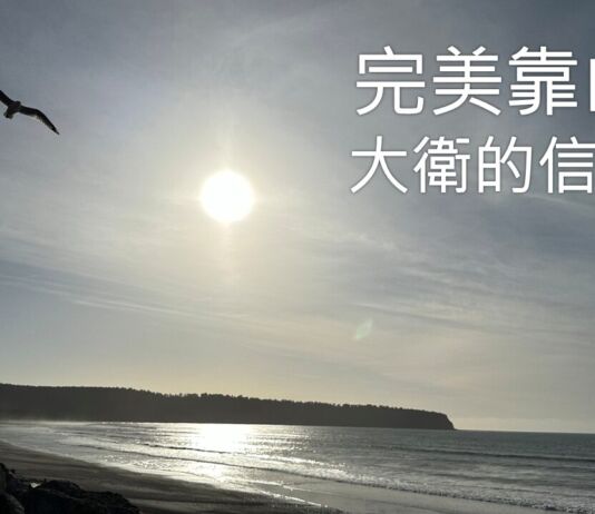 完美靠山 完美靠山