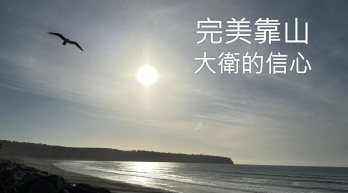 完美靠山 完美靠山