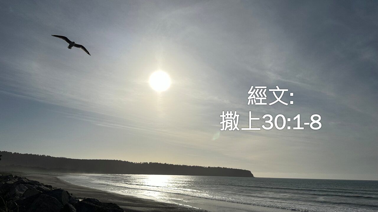 完美靠山