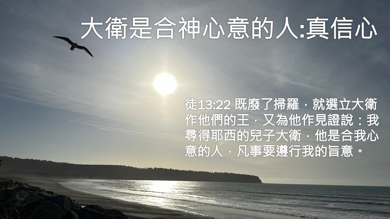 完美靠山