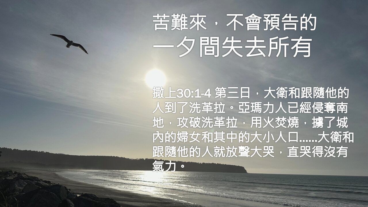 完美靠山