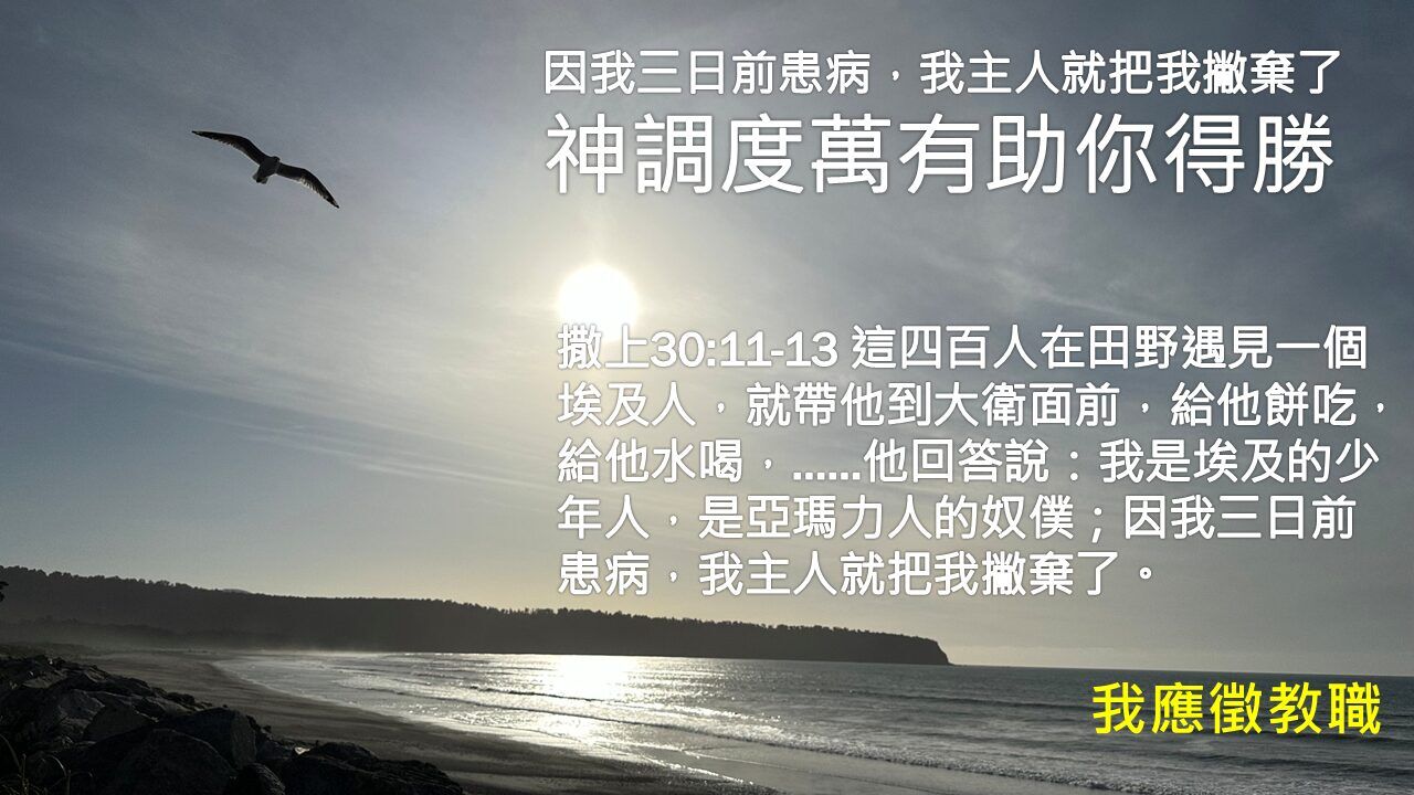 完美靠山