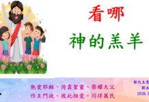 看哪!神的羔羊!