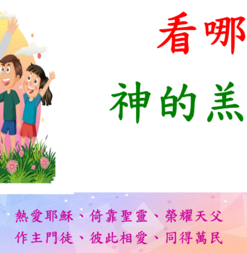 看哪!神的羔羊!